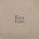 Buy EcoRight Canvas Tote Bag with Zipper Large Beach Bags and Totes for ...