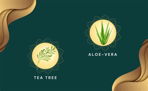 Buy KHADI Tea Tree & Aloe-vera Ayurvedic Shampoo: Herbal Hair Care for ...