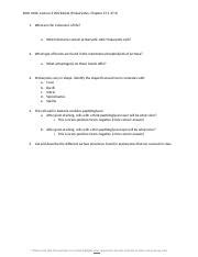 Image result for Course Prokaryotes