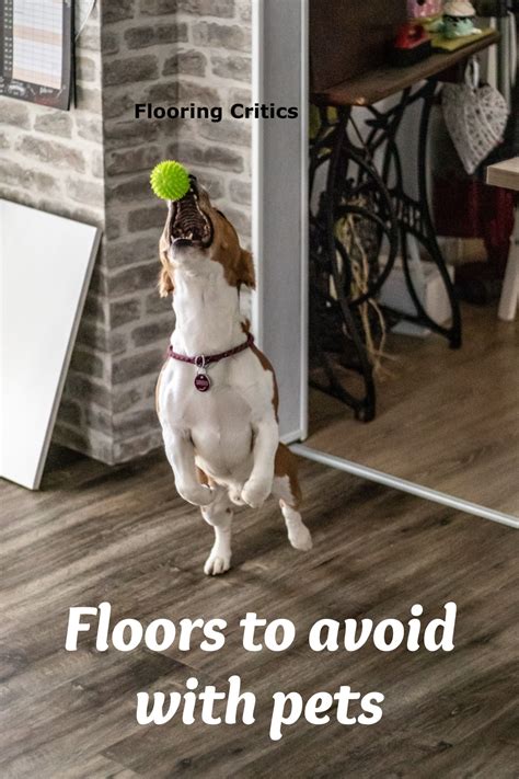 Floor critics reviews the 5 best pet friendly flooring options – Artofit