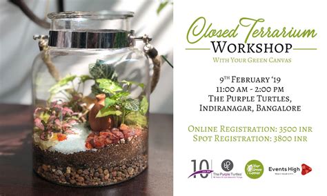 Closed Terrarium Workshop — The Purple Turtles - Online Home Decor Store