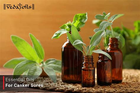 Top 10 Essential Oils For Canker Sores & Mouth Ulcer Relief – VedaOils