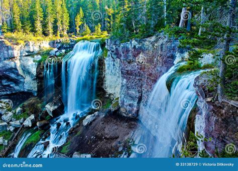 Paulina Creek Falls, Oregon Stock Image - Image of nature, creek: 33138729