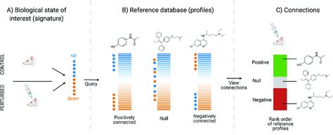 Connectivity Map 的图像结果