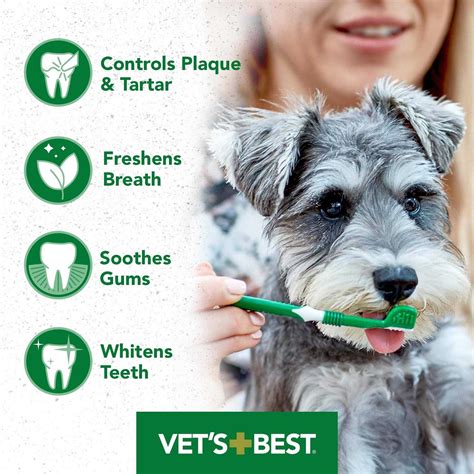 Image result for Gel Toothpaste