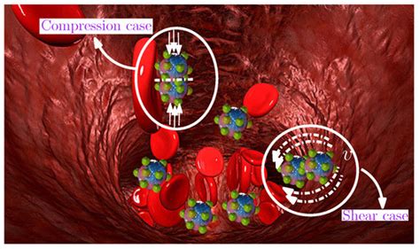 Modeling Tunable Fracture in Hydrogel Shell Structures for Biomedical ...