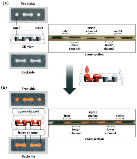 A Review on Microfluidic Paper-Based Analytical Devices for Glucose ...