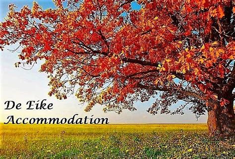 DE EIKE ACCOMMODATION (Lydenburg, Mpumalanga, South Africa) - Lodge ...