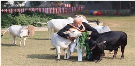 Short News - GS SCORE