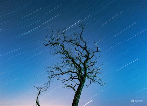 Adventure Landscape 的图像结果