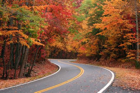 Fall Colors in Georgia- Over 15 "Must See" Spots to Enjoy