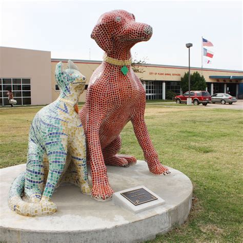 Explore Plano 2017 Featured Challenge: Plano Animal Shelter - Plano ...