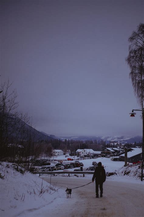 Image result for Collapsing Stars