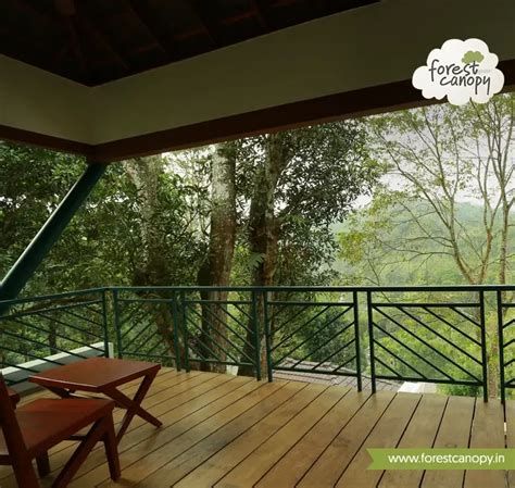 Forest Canopy Social Media