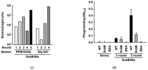 Processes | Special Issue : The Amazing World of Peptide Engineering