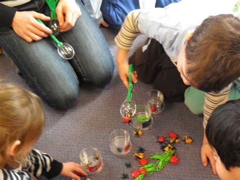 Image result for Bug Sorting