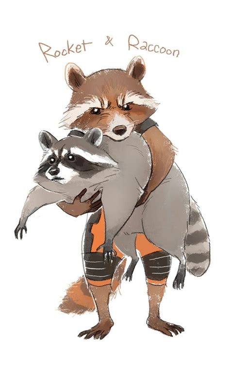 Pin by Ryoga Raccoon on Raccoons | Raccoon art, Raccoon drawing, Rocket raccoon