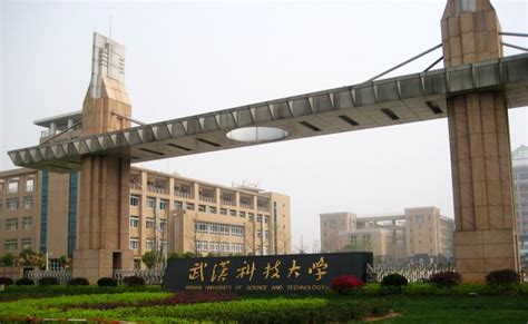 武汉科技学院和武汉科技大学有什么区别?_百度知道
