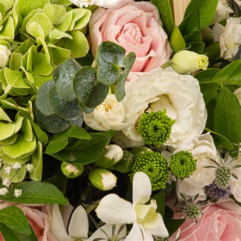 The Caribbean Breeze – The Flora