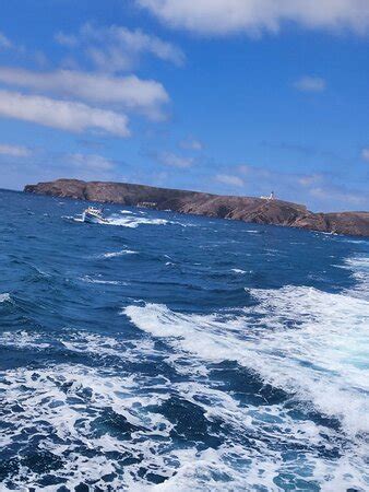 Berlengatur/Berlengoest Lda - Peniche | Tripadvisor