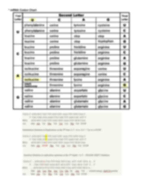 SOLUTION: Protein synthesis diagram handout - Studypool