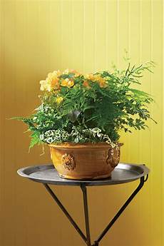Indoor Garden Containers by Indoor Container Garden Ideas Southern Living Indoor Garden Containers