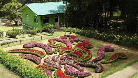 Hakgala Botanical Garden In Nuwara Eliya With A Guide For Nature Lovers