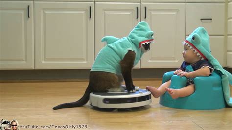 Cat Wearing a Shark Costume Entertains Baby Also Dressed as a Shark by ...