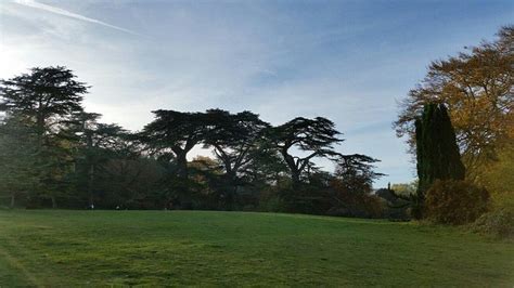 STANMER PARK (2026) All You Need to Know BEFORE You Go (with Photos ...