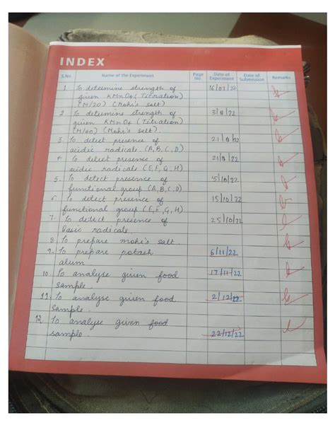 Chemistry Practical File 的图像结果