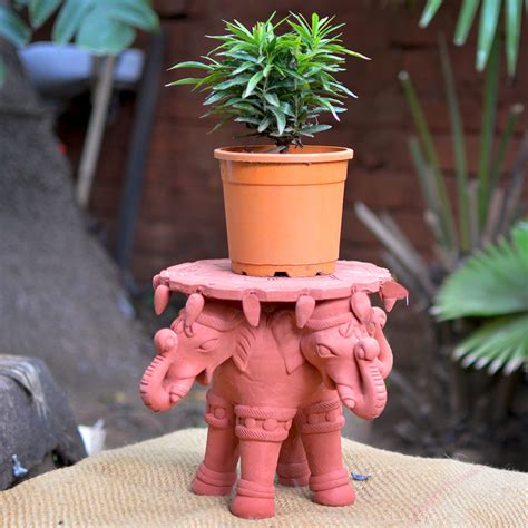 Buy Terracotta Pots Online in India | Clay Planters for Home & Garden
