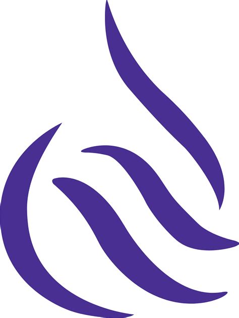 National Petroleum Services Company logo in transparent PNG and ...