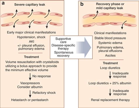 Capillary leak syndrome: etiologies, pathophysiology, and management - Kidney International