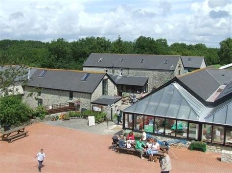 Amelia Trust Farm, barry, United Kingdom - Top Attractions, Things to ...