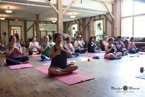 Image result for Life Less Script