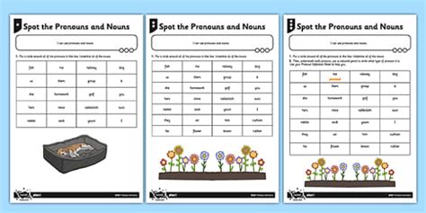 Pronouns and Nouns Differentiated Worksheet Pack