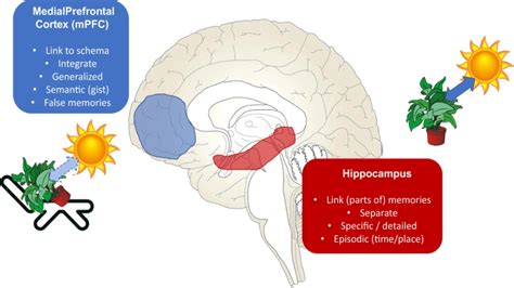 Memory Optimization 的图像结果