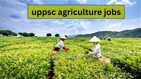 UPPSC Agriculture Jobs 2025 | Career Opportunities in Agriculture ...