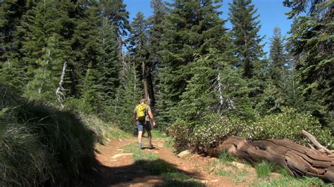 Ashland Trails - Videos and Maps of Big Red Mountain Trail