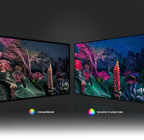 LG OLED 4K Smart TV | A Photographer’s Perspective