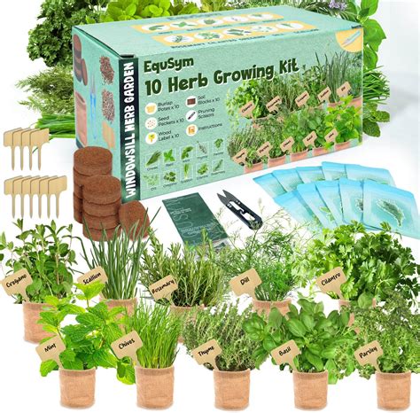 Amazon.com : Indoor Herb Garden Kit, 9 Non-GMO Seeds with Reusable Pots ...