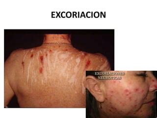 Image result for Alien Resurrection Pitof