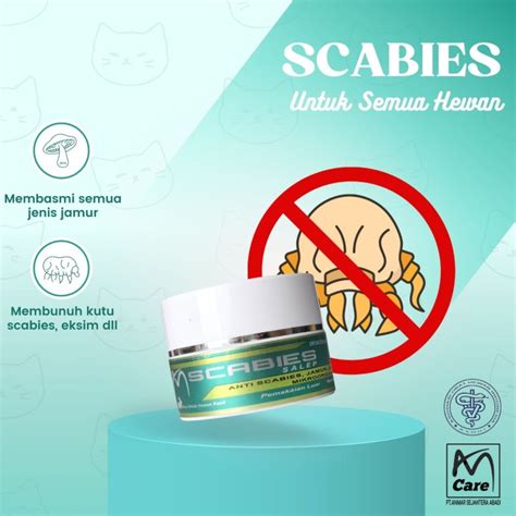 Promo AmCare Salep Scabies / Obat Jamur & Gatal Hewan Kucing, Kelinci ...