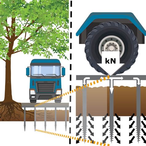 Image result for Tree Root Bridge
