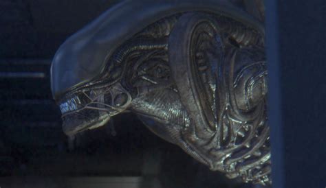 Image result for Alien Isolation Xenomorph Hiding