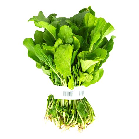 أوراق جرجير طازجة Fresh Jerjeer Leaves