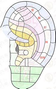 Image result for What Are Consider Computer Program