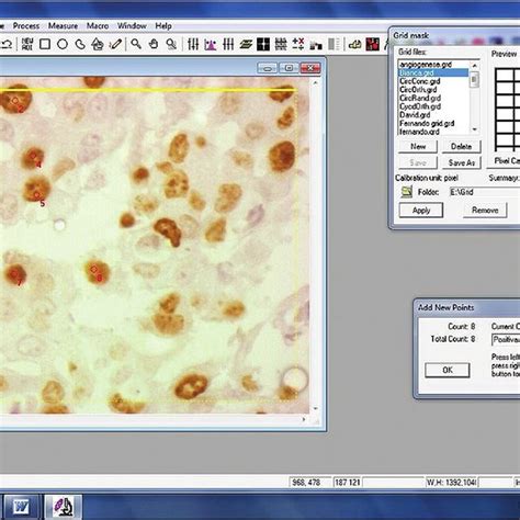 Image result for Tutorial On Pic+ Pro Software