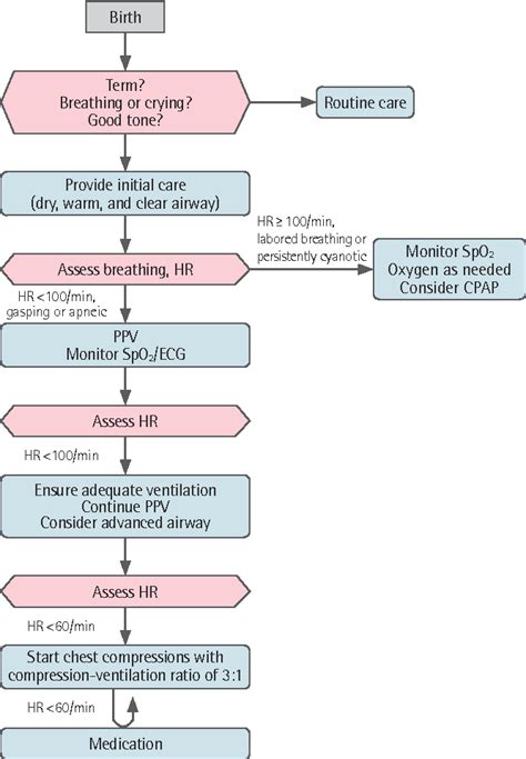 Image result for Neonatal Resuscitation Algorithm