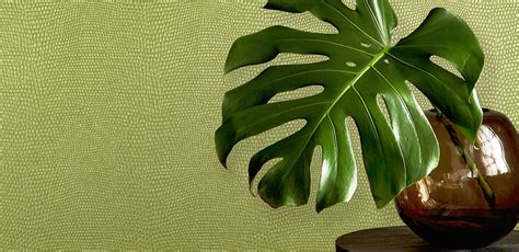 Image result for Command Wall Stickers